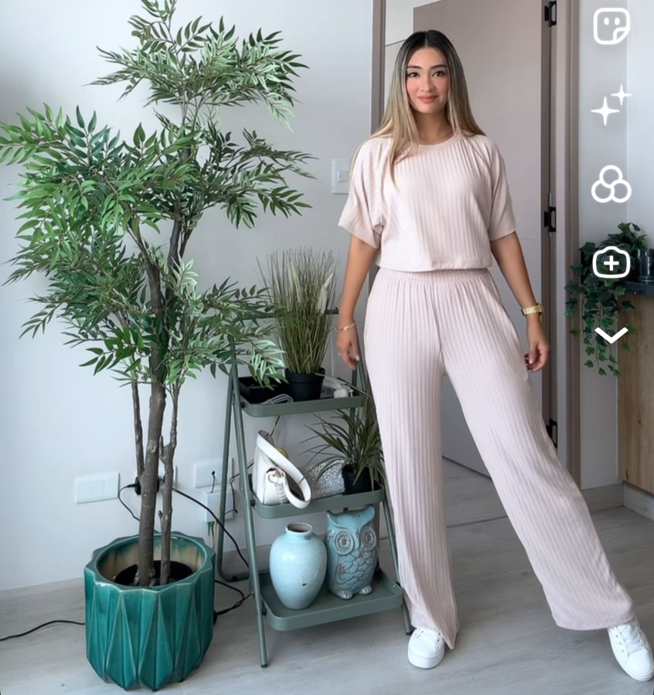 Conjunto Elena