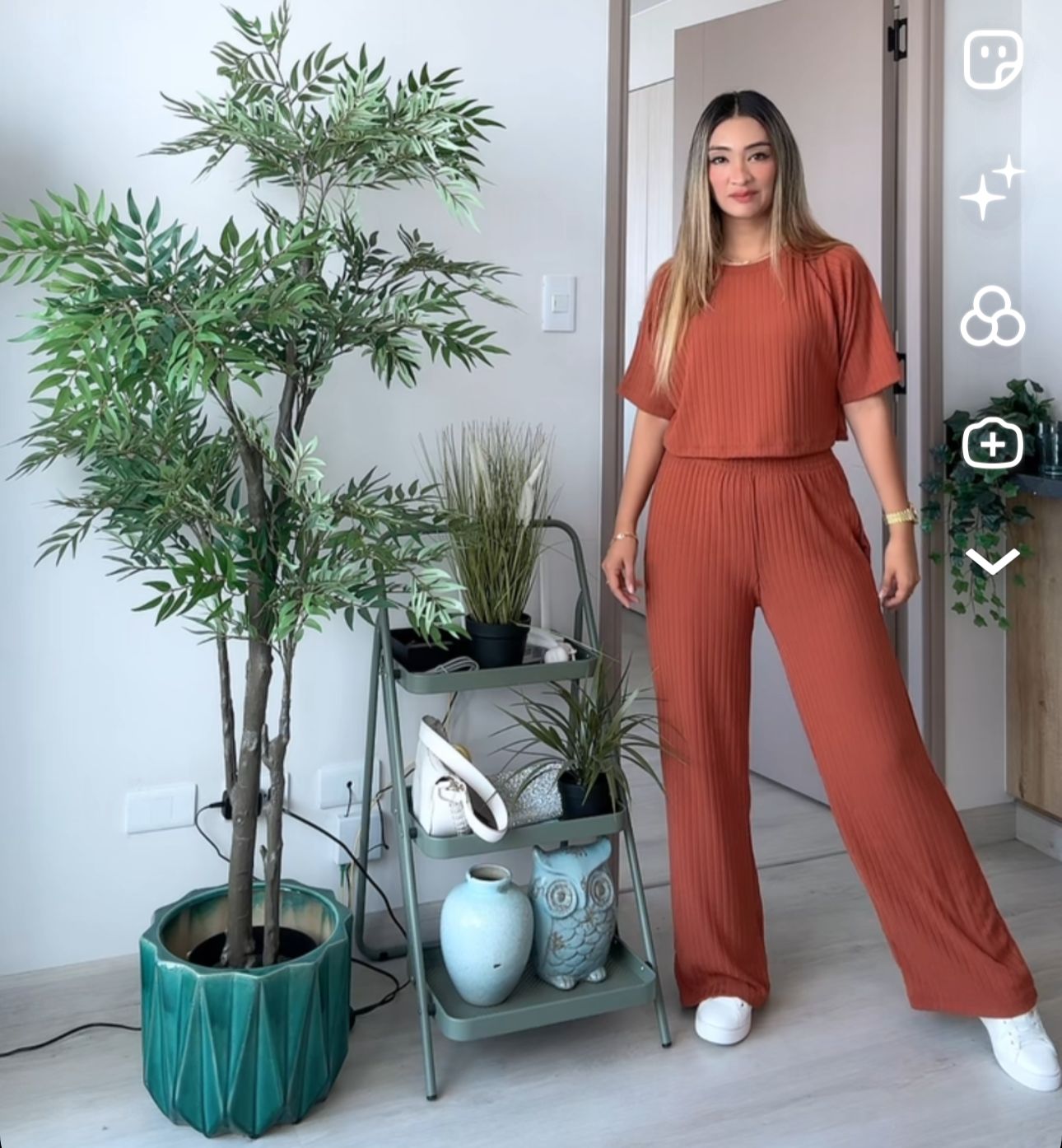 Conjunto Elena