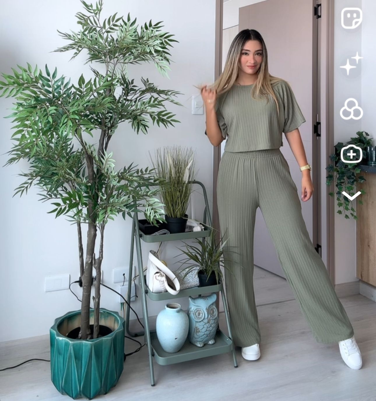 Conjunto Elena