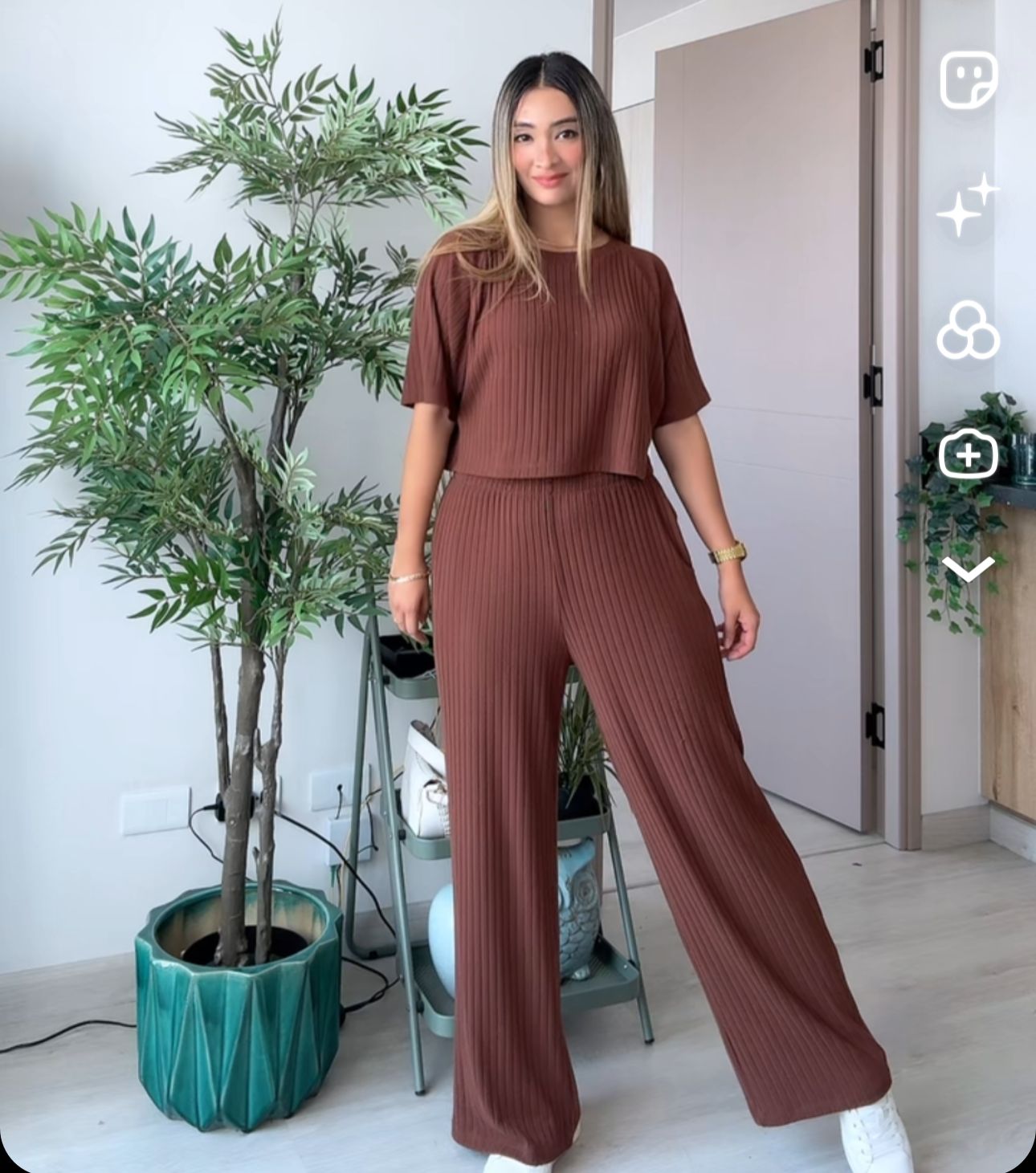 Conjunto Elena