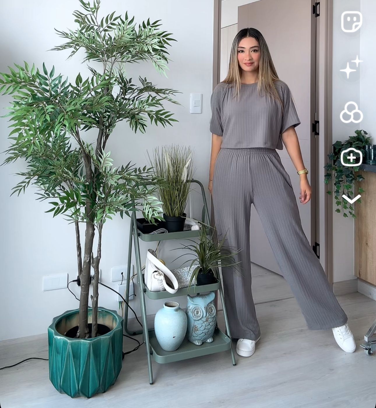Conjunto Elena